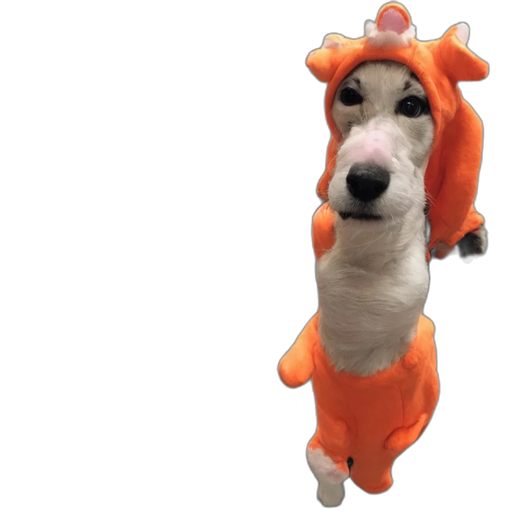 animal, dragon, creature, hat, 3d render, concept art, cat, dog transparent PNG cut-out