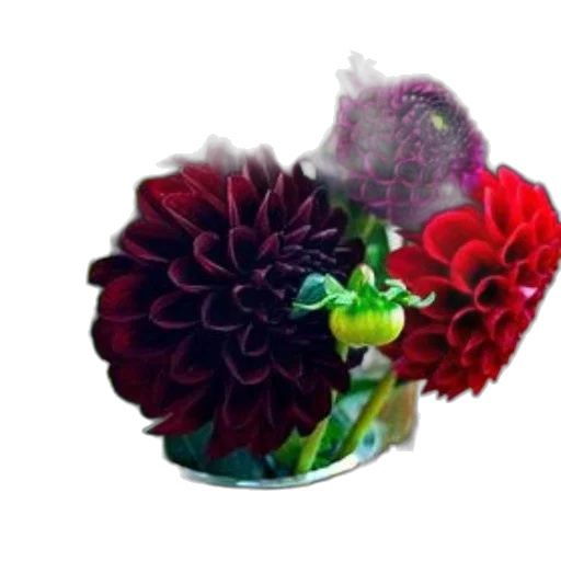 crown, flower, jewelry, hat, 3d render, photorealistic, vibrant, bouquet transparent PNG cut-out
