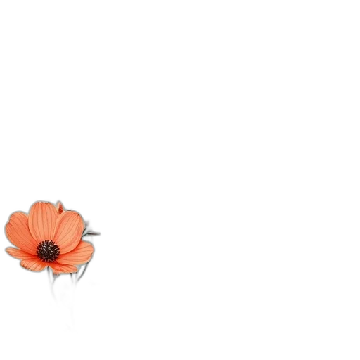 flower, crown, weapon, dress transparent PNG cut-out
