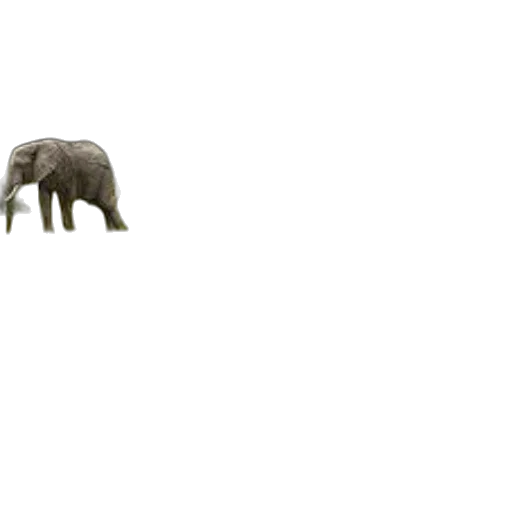 animal, creature, furniture, hat, 3d render, concept art, pixel art, photorealistic transparent PNG cut-out