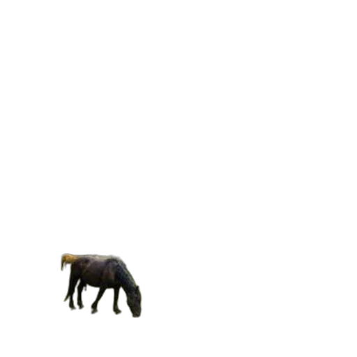 animal, creature, furniture, dragon transparent PNG cut-out
