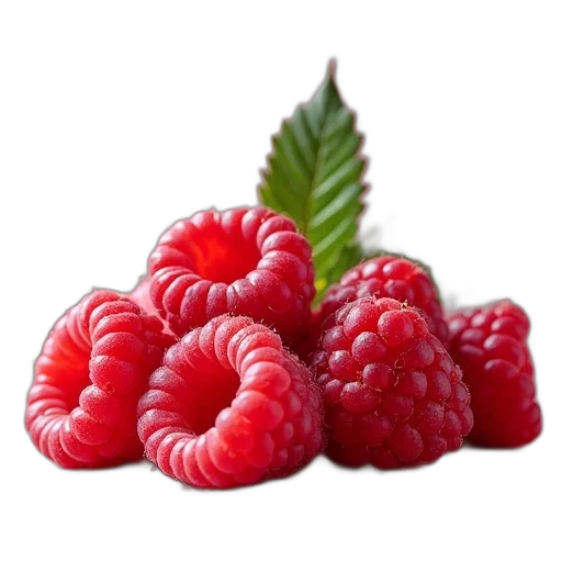 food, crown, animal, creature, photorealistic, 3d render, red, aromas transparent PNG cut-out