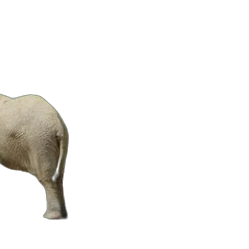 animal, creature, staff, mask, 3d render, photorealistic, concept art, two transparent PNG cut-out