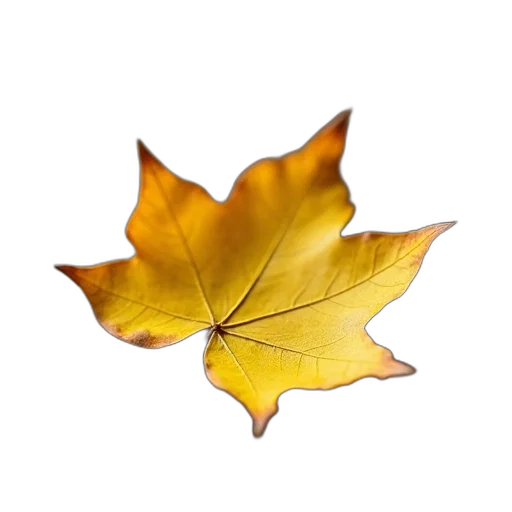 crown, tree, umbrella, flower, photorealistic, 3d render, golden, earth tones transparent PNG cut-out