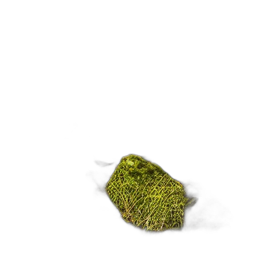 tree, hat, hair, creature transparent PNG cut-out