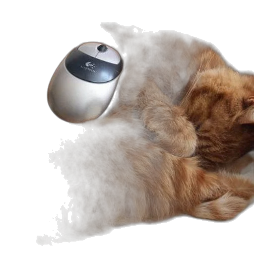 robot, animal, photorealistic, 3d render, ginger, cat, curled, computer transparent PNG cut-out