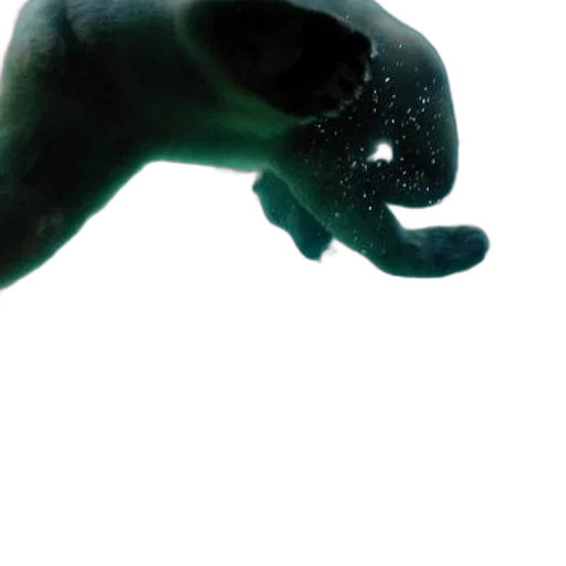 creature, animal, mask, dragon, 3d render, photorealistic, concept art, underwater transparent PNG cut-out
