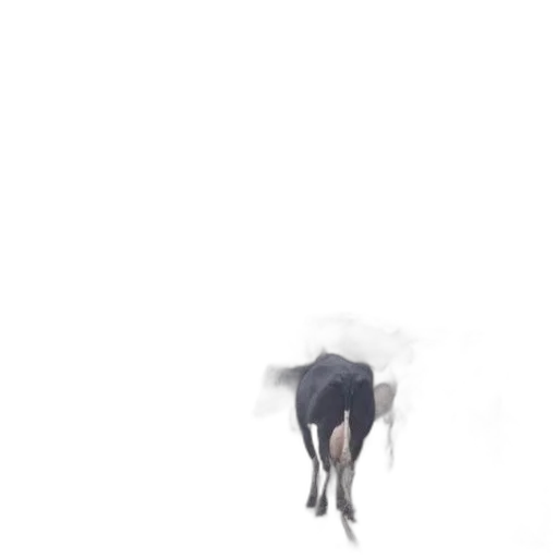animal, creature, umbrella, dress, concept art, 3d render, photorealistic, pixel art transparent PNG cut-out