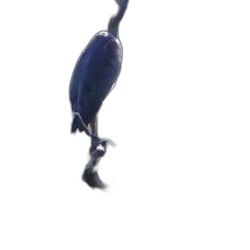 animal, creature, dragon, robot, 3d render, concept art, photorealistic, underwater transparent PNG cut-out
