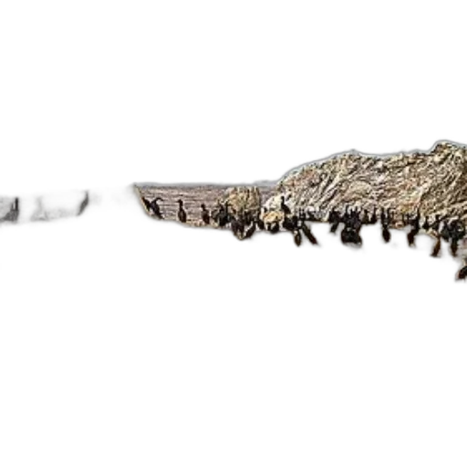 sword, weapon, staff, hair, concept art, 3d render, photorealistic, flock transparent PNG cut-out