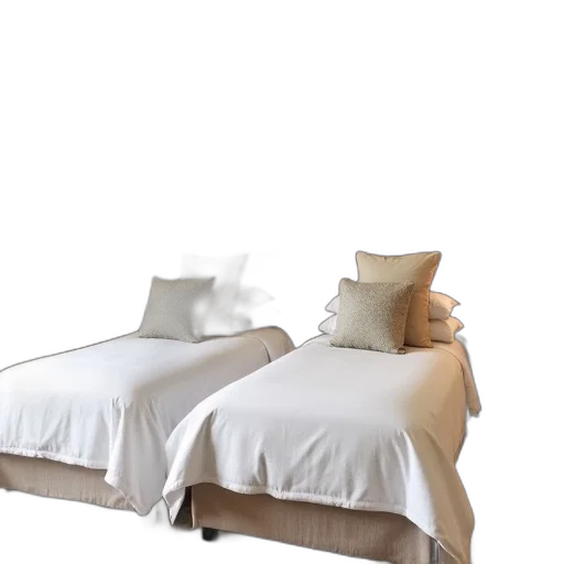 furniture, 3d render, photorealistic, earth tones, monochrome, cozy, bedroom, two transparent PNG cut-out