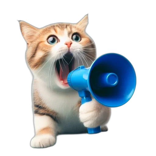 staff, animal, weapon, photorealistic, surprised, kitten, holds, blue transparent PNG cut-out