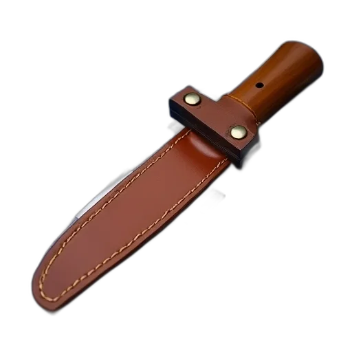 staff, weapon, jewelry, sword, brown, leather, sheath, silver transparent PNG cut-out