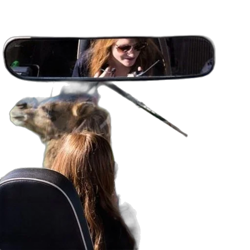 hair, animal, car, staff transparent PNG cut-out