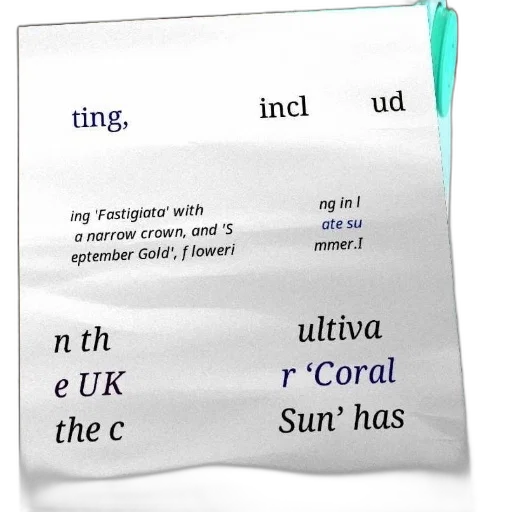 poster, text, about, plants, including, fastigiata, september, gold transparent PNG cut-out
