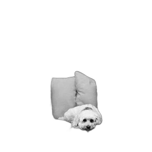 furniture, animal, creature, umbrella, photorealistic, 3d render, concept art, monochrome transparent PNG cut-out
