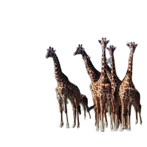 animal, creature, crown, 3d render, concept art, photorealistic, pixel art, herd transparent PNG cut-out