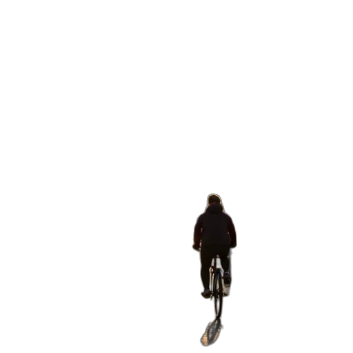jacket, creature, animal, umbrella transparent PNG cut-out