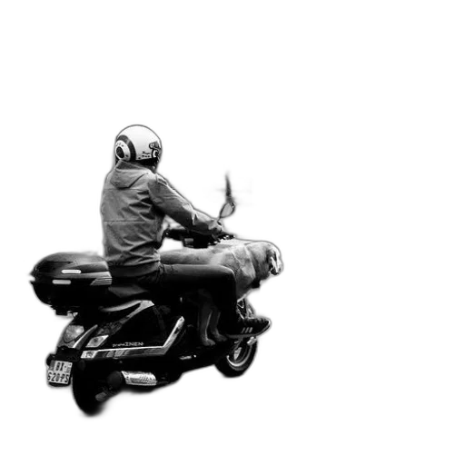 jacket, car, robot, animal, concept art, photorealistic, pencil sketch, cyberpunk transparent PNG cut-out