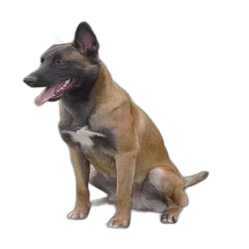 animal, staff, creature, photorealistic, 3d render, brown, dog, black transparent PNG cut-out