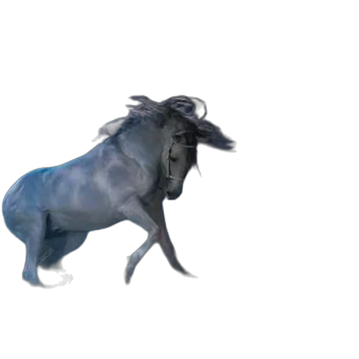 animal, dragon, creature, hat, concept art, 3d render, photorealistic, fantasy art transparent PNG cut-out