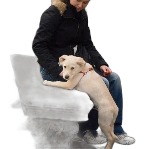 staff, animal, woman, black, coat, sits, stone, bench transparent PNG cut-out