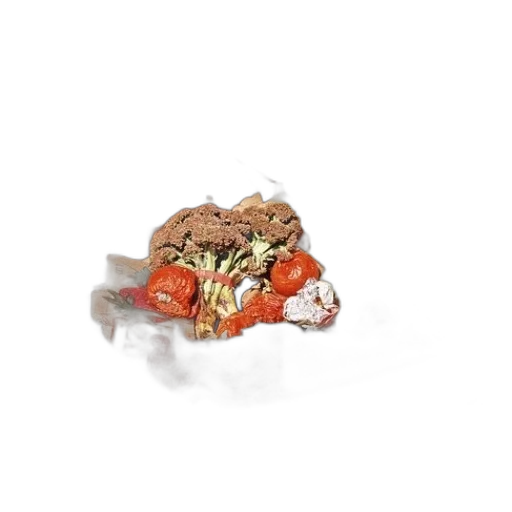 food, jewelry, crown, animal, photorealistic, 3d render, earth tones, cardboard transparent PNG cut-out