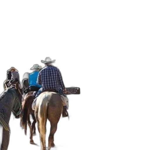 hat, animal, staff, weapon, concept art, group, people, horseback transparent PNG cut-out