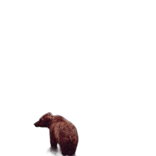 animal, creature, furniture, food, 3d render, pixel art, concept art, photorealistic transparent PNG cut-out