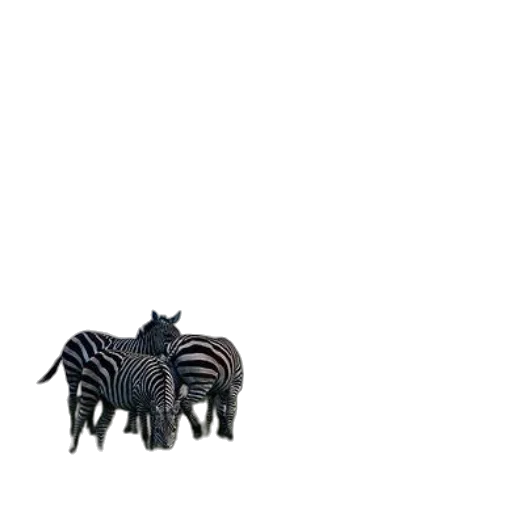 animal, creature, jewelry, dragon, 3d render, concept art, photorealistic, pixel art transparent PNG cut-out