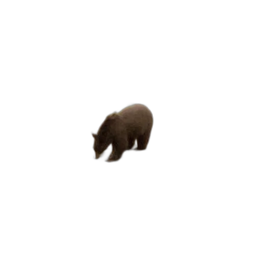 animal, creature, hat, hair, pixel art, 3d render, concept art, photorealistic transparent PNG cut-out