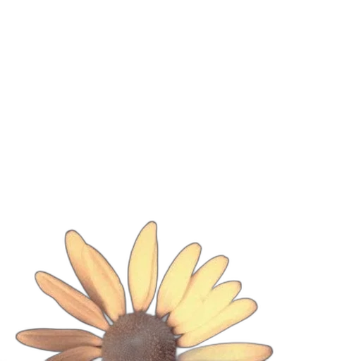 flower, crown, staff, jewelry, 3d render, photorealistic, watercolor, pixel art transparent PNG cut-out