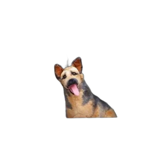 animal, creature, face, staff, photorealistic, pixel art, 3d render, dog transparent PNG cut-out