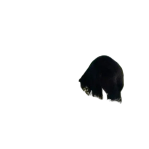 animal, hat, hair, creature, 3d render, photorealistic, concept art, pixel art transparent PNG cut-out