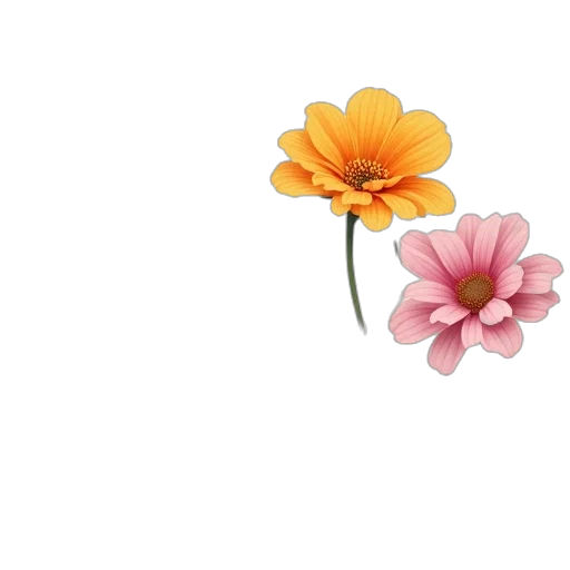 flower, crown, jewelry, weapon transparent PNG cut-out