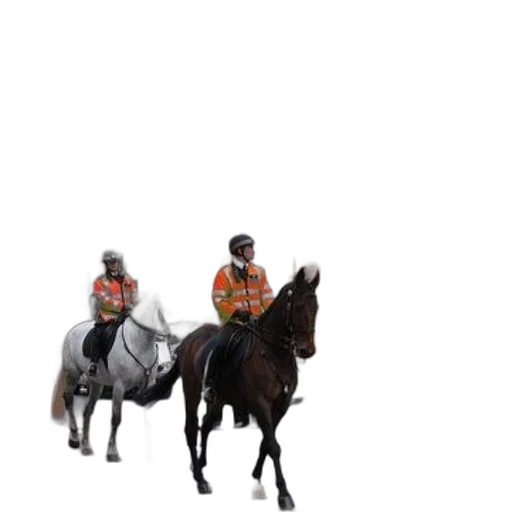 staff, animal, hat, jacket, concept art, 3d render, pixel art, photorealistic transparent PNG cut-out