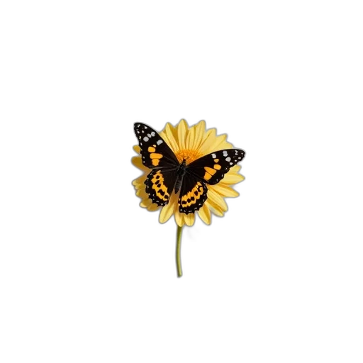 flower, jewelry, crown, animal, photorealistic, 3d render, pixel art, concept art transparent PNG cut-out