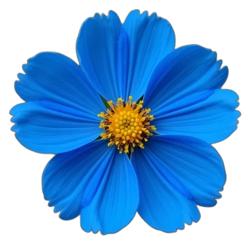 flower, crown, jewelry, staff, photorealistic, 3d render, blue, colorful transparent PNG cut-out