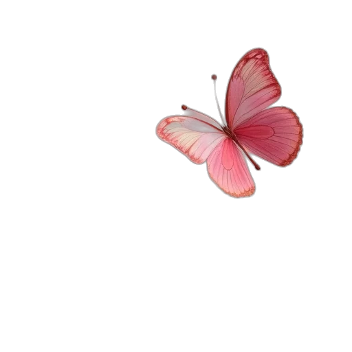 flower, animal, creature, jewelry transparent PNG cut-out