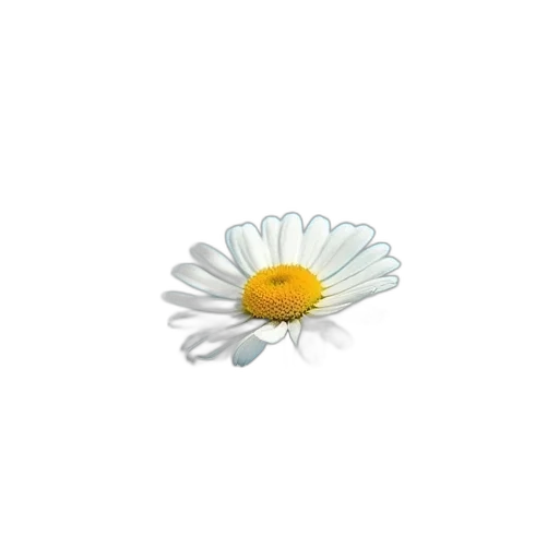 flower, jewelry, crown, staff, 3d render, photorealistic, pixel art, concept art transparent PNG cut-out
