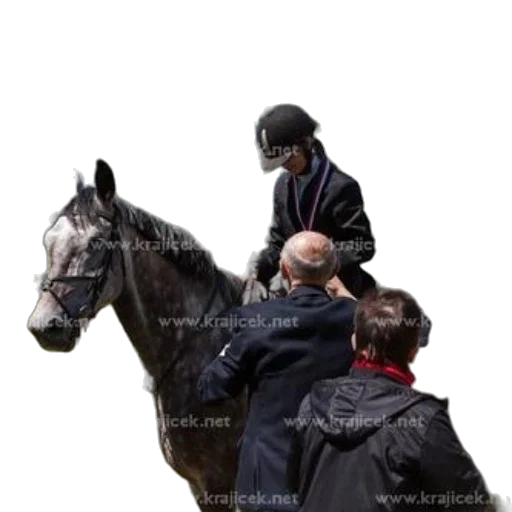 hat, animal, jacket, staff, photorealistic, person, black, standing transparent PNG cut-out