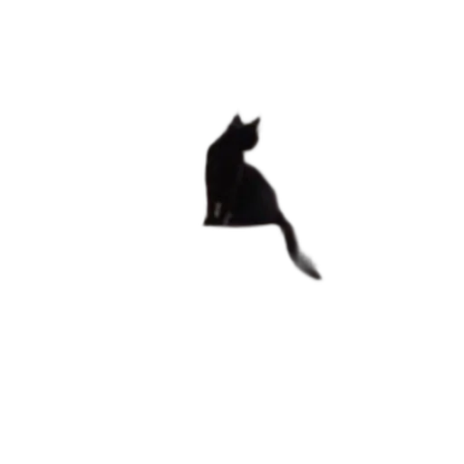animal, staff, hat, umbrella transparent PNG cut-out