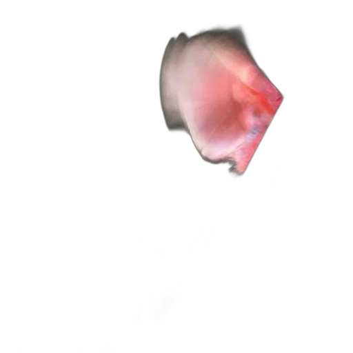 flower, face, creature, animal, 3d render, photorealistic, concept art, watercolor transparent PNG cut-out