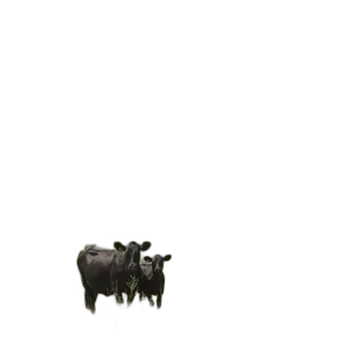 animal, food, creature, furniture, pixel art, 3d render, concept art, photorealistic transparent PNG cut-out