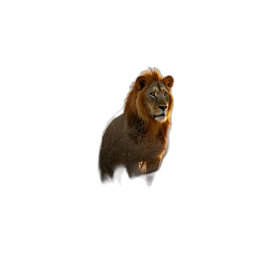 animal, creature, hair, staff transparent PNG cut-out