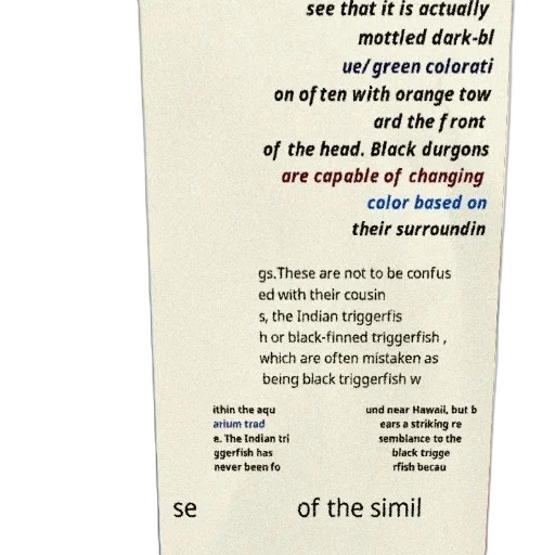 bottle, umbrella, mask, sword, text-based, image, discussing, coloration transparent PNG cut-out