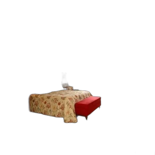furniture, shoes, animal, creature transparent PNG cut-out