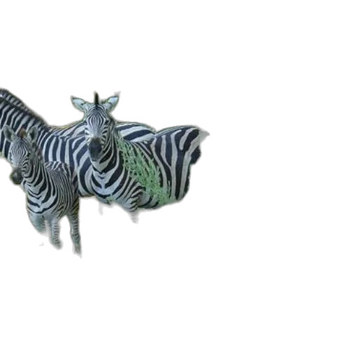 animal, dragon, creature, jewelry, 3d render, concept art, photorealistic, fantasy art transparent PNG cut-out