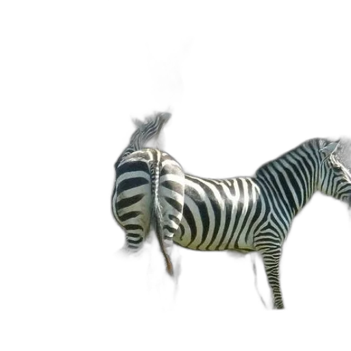 animal, creature, dragon, staff, 3d render, concept art, photorealistic, fantasy art transparent PNG cut-out