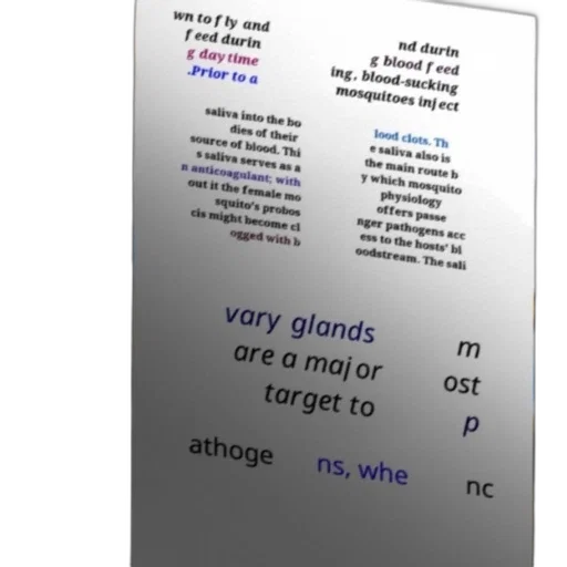 robot, sword, bottle, face, text-based, image, explaining, role transparent PNG cut-out